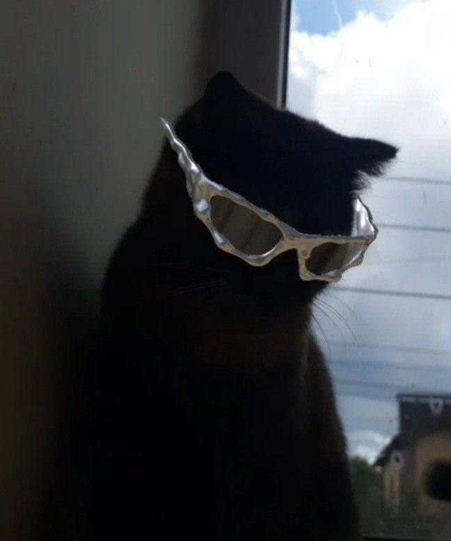 sigmacat